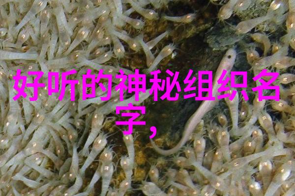 永恒迷宫解锁谜题和挑战体验这款令人惊叹的地图设计