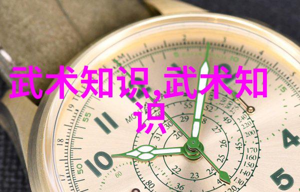 武学自悟独行侠的修行之路