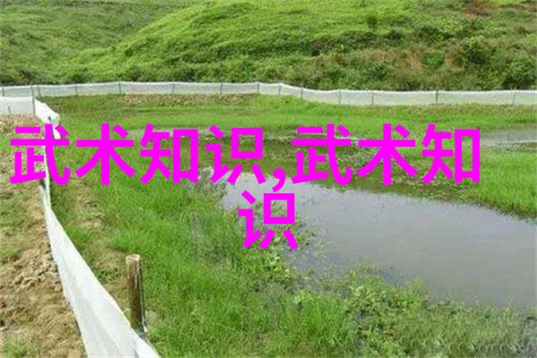 星辰盟约古今交织的辉煌与沉默
