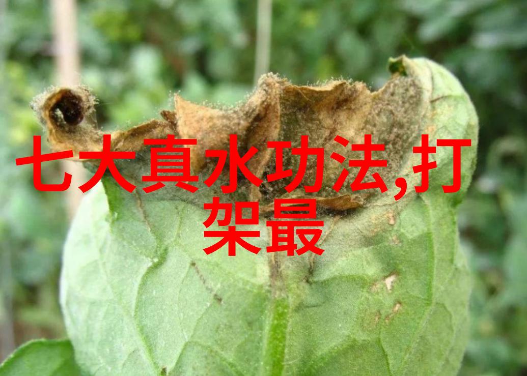 探索母亲的桃花源之旅