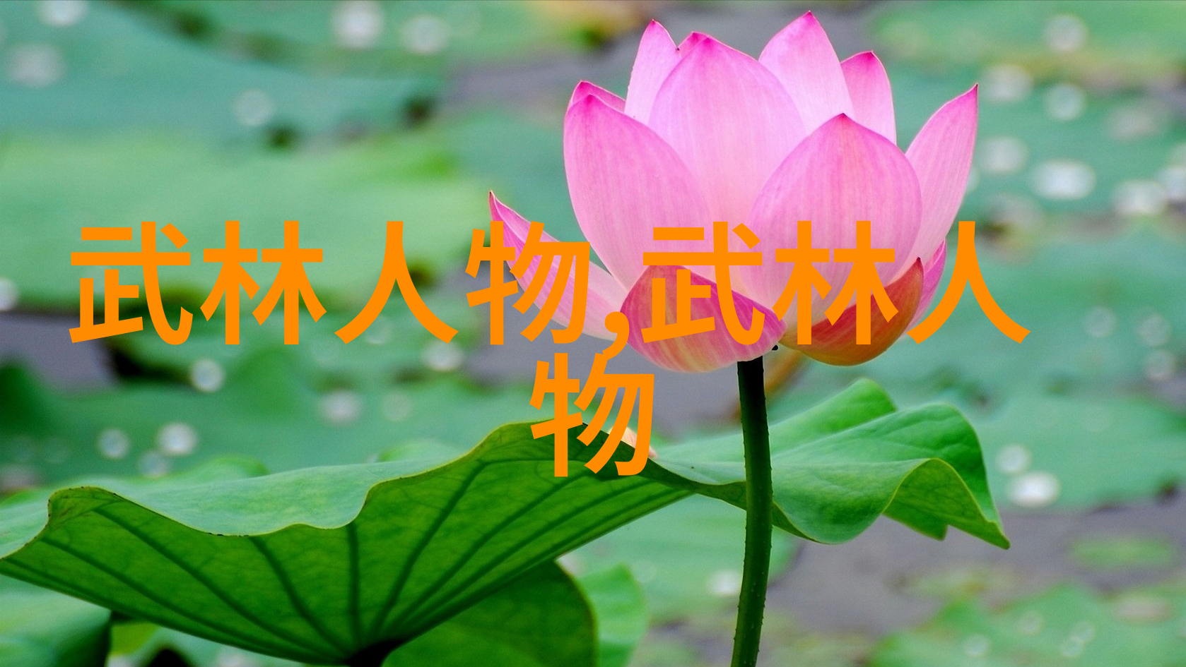 武林秘籍揭秘功夫大全中的绝学招式与内力运用