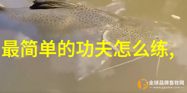 在学习过程中应如何平衡传统与创新以求得更好的效果