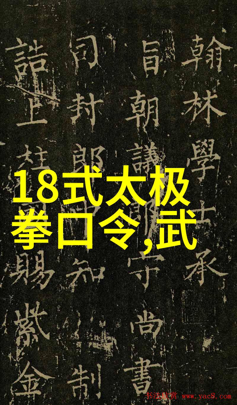 太极拳之旅24式口令全套解锁李觉民的武学秘笈
