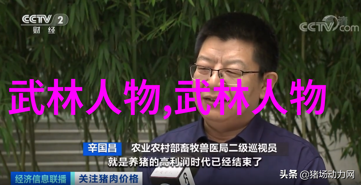 婚姻技巧-怎样才能练成功夫提升伴侣关系的智慧指南