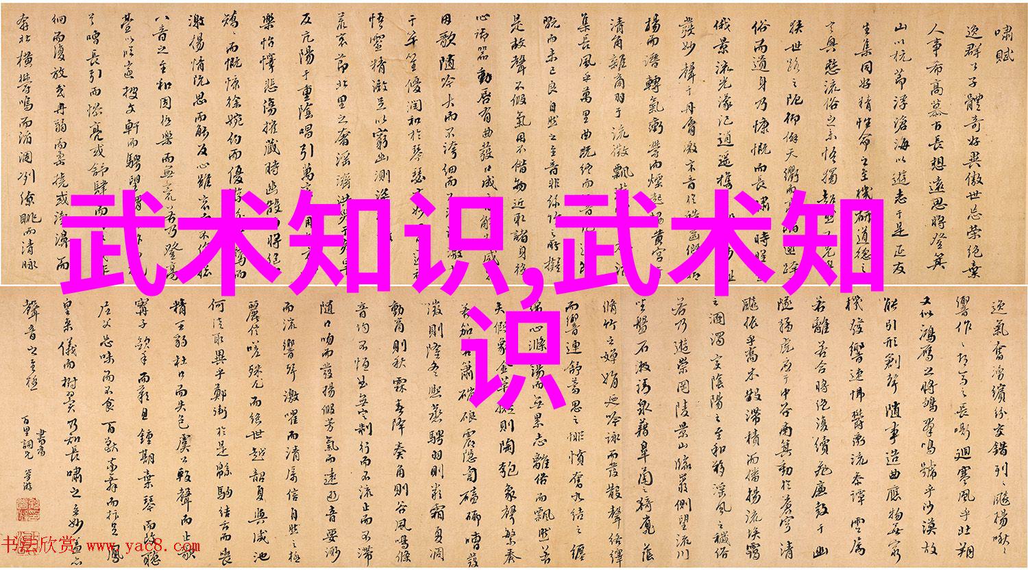 内丹秘法揭秘太极功夫的源自古籍之谜