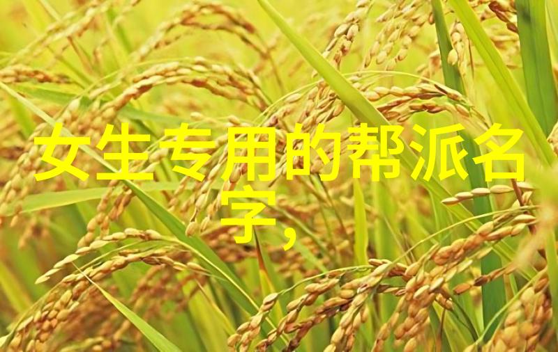 太极拳学习-掌握48式太极拳全套视频带口令轻松学习传统武术