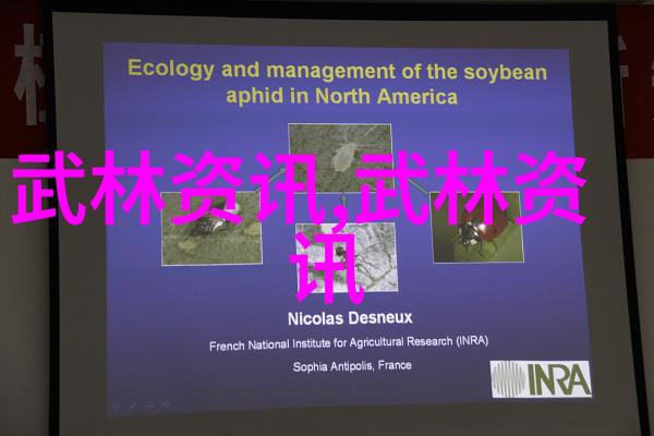 无人一码二码三码4码免费我来帮你搞定这四种不同类型的优惠券