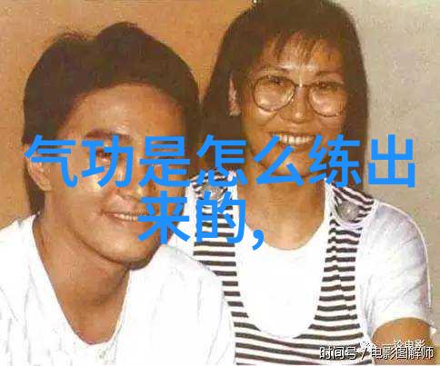 十大最强武功秘籍陈家小架太极拳舞动江湖之巅