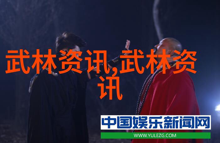 中国功夫秘籍大全武术经典技巧全集
