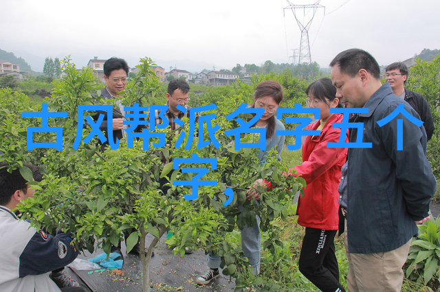 中国武术之魂打造最具战斗力的功夫体系