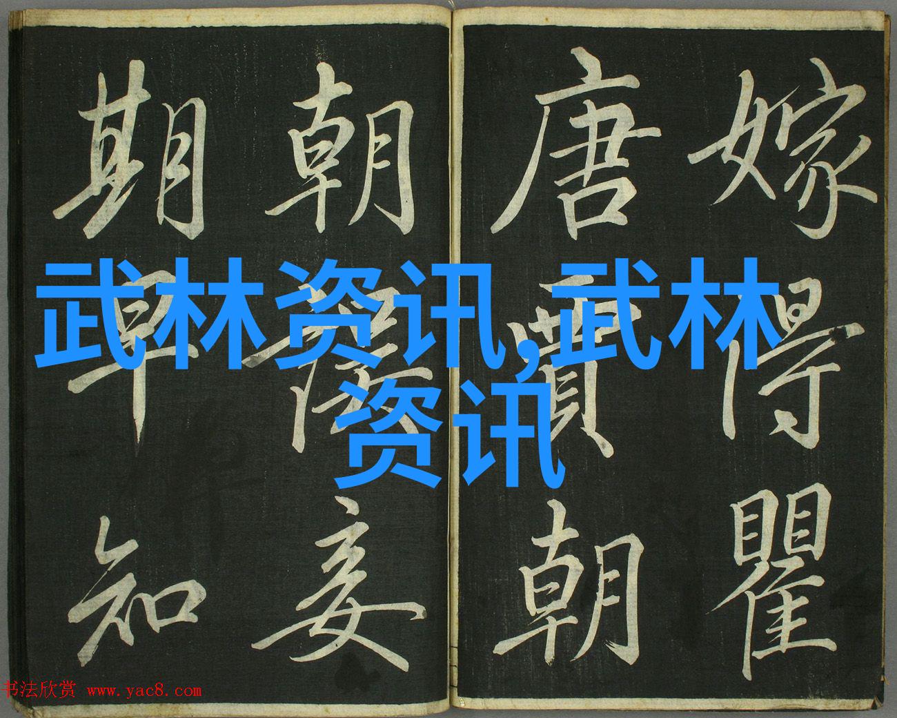 武林八大门派掌门人的拳种犹如八只猛虎守护着江湖的和平