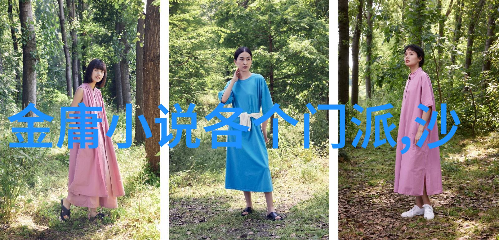 武当太虚拳诗意的公会名字以其流畅如诗的招式仿佛是一位慈祥师傅在夜幕下低语的古老秘笈