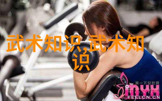 六字武功秘籍考古探究解读中国武学传统中的简码密码