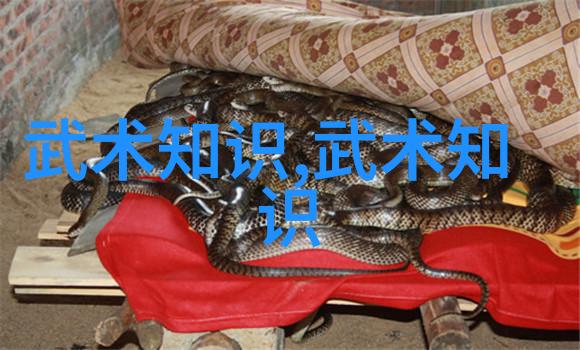 在遛大鱼的故事里为了防止那些狡猾的切线鲨鱼我们必须学会三个关键步骤每一次深入水域都像是一次冒险旅程只