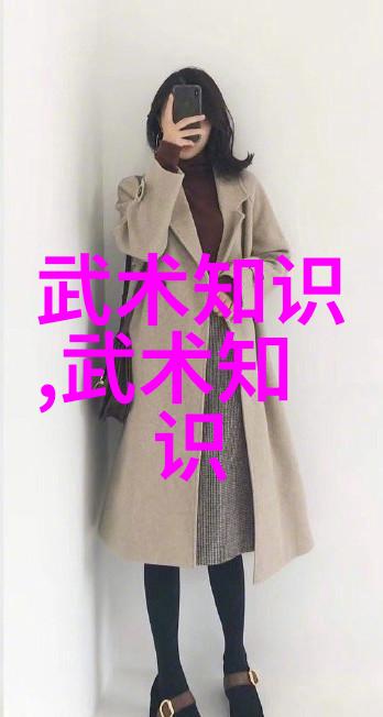 松潭神韵武当松溪派的内家拳秘笈