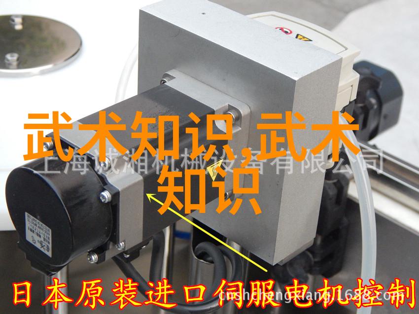 太极24式正面背面揭秘你我练习的秘诀