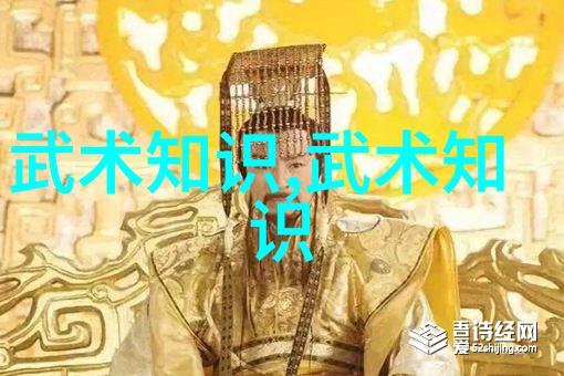 中国武术秘籍书古老传承中的内功心法与招式解析