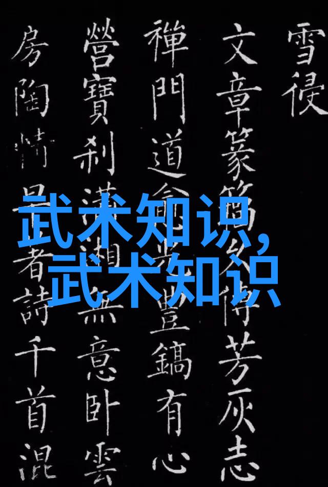 少林秘传揭秘武林绝学