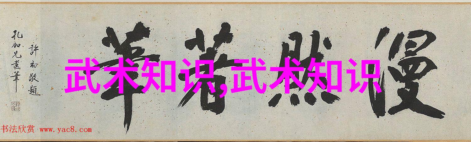 内家拳之谜揭秘太极功夫的奥秘