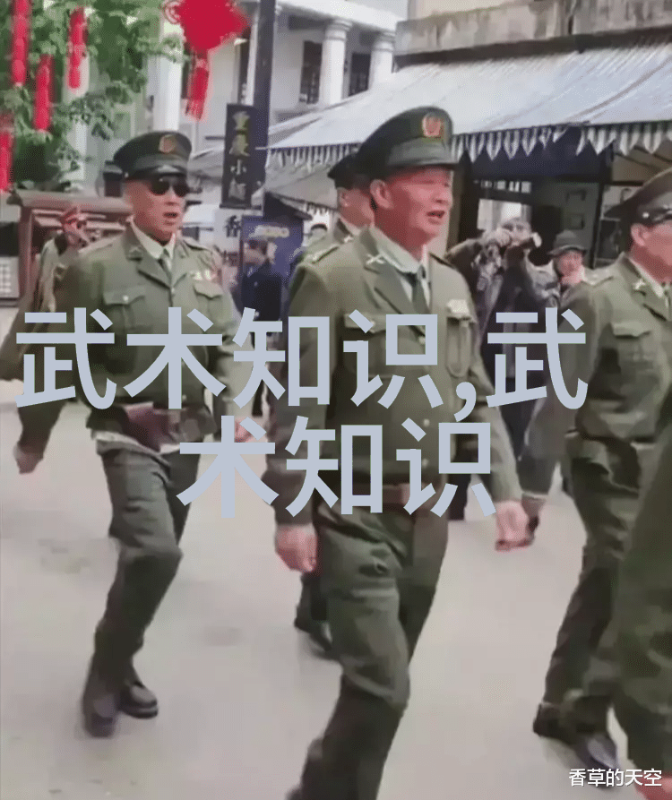 武术学习-掌握古典精髓48式太极拳全套视频带口令