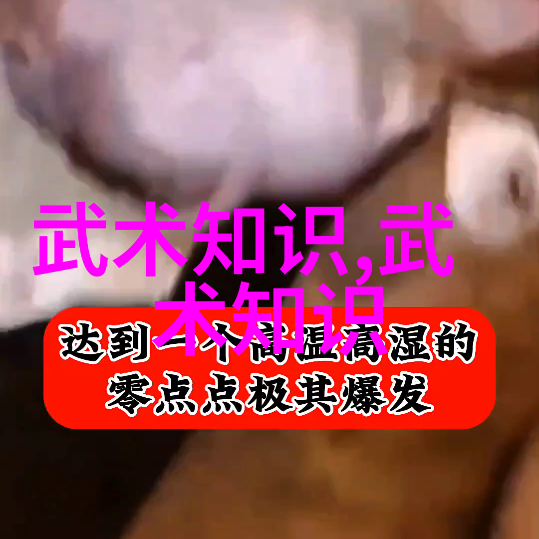 在茫茫人海中寻找真理贵州各大宗师掌握了什么高深技艺