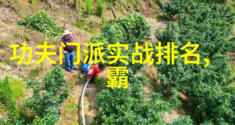 星辰幻境仙门秘籍与荒废遗迹