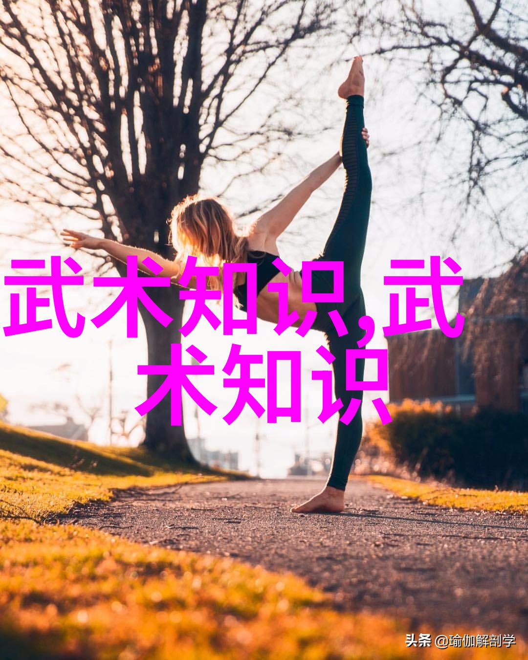 太极拳十三式深度解析揭秘内在奥义与练习技巧