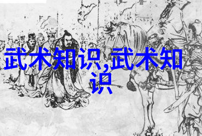 太极拳推手走黏法十二例张宝银指引我们在武术万维网官网上探索这门古老艺术的奥秘