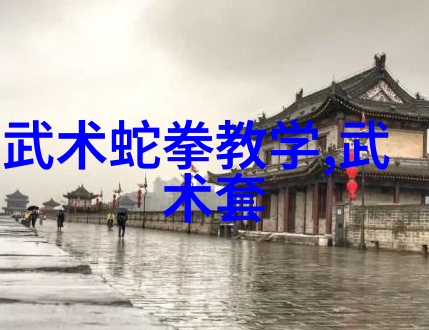 中国最著名的武术流派 - 武林正宗探索中华武术的巅峰之作