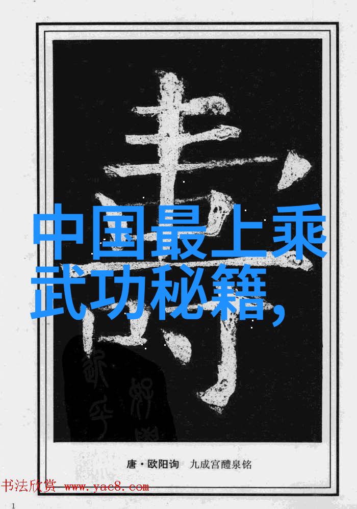 李派太极拳之32式太极拳拳谱全套分解在社会的舞台上演绎杜子宇