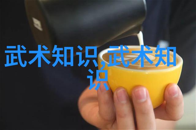 中国传统武术拳法 - 揭秘中华武林中国传统武术拳法的精髓与演变