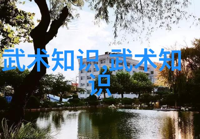 功夫怎么练-武学秘籍揭秘提升内力与招式的训练法