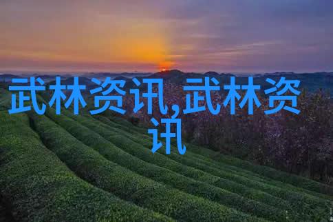禁用武术的网站-制裁功夫揭秘那些禁止武术的神秘网络世界