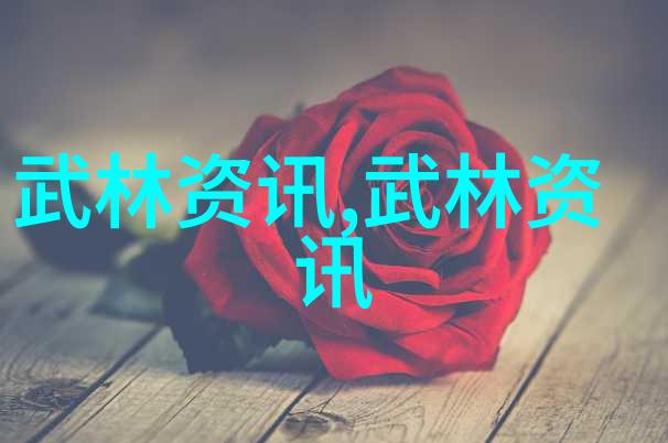 在合肥市淝河小学六一活动中英式橄榄球趣玩与美国女子橄榄球相结合的精彩表演在反复的鼓掌声中走红