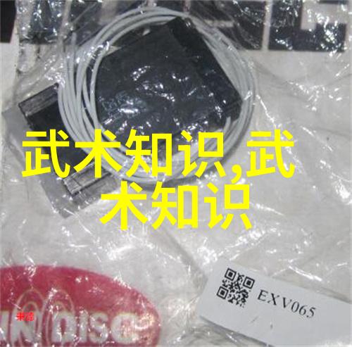 武林秘籍招式大全图解揭秘江湖绝技
