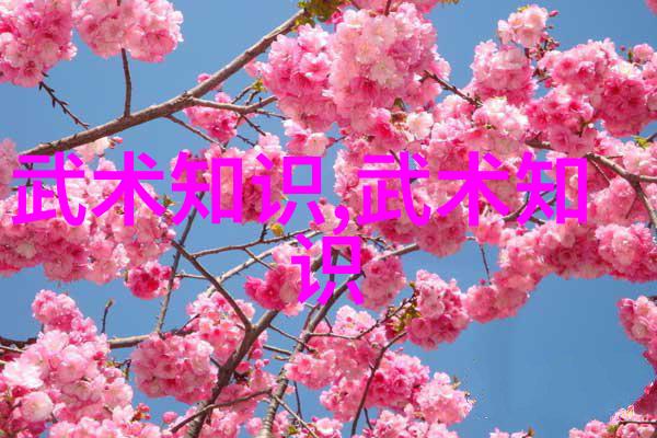 武功门派-江湖百家探秘武功门派的千丝万缕
