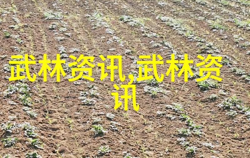 纪涛的拳击秘密揭开真实攻略之谜