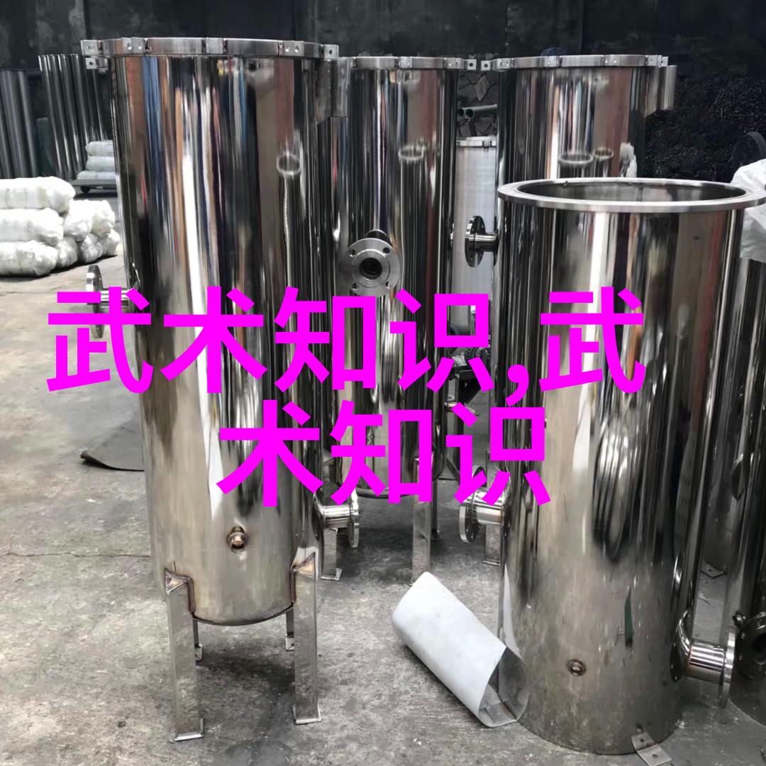 追寻江湖往事揭开隐世流派的面纱