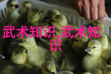 古代武功秘籍绝技录之神秘篇