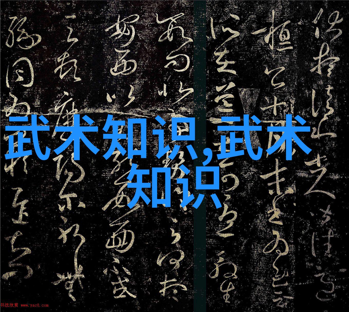 亓门拳种中国体系最庞大的武术门派在社会中的影响力