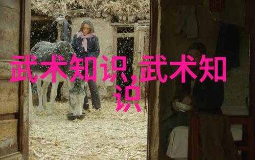 武林资讯揭秘江湖内幕追踪名门高手
