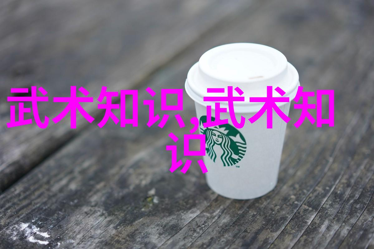 武学自修指南掌握内功外式的秘诀
