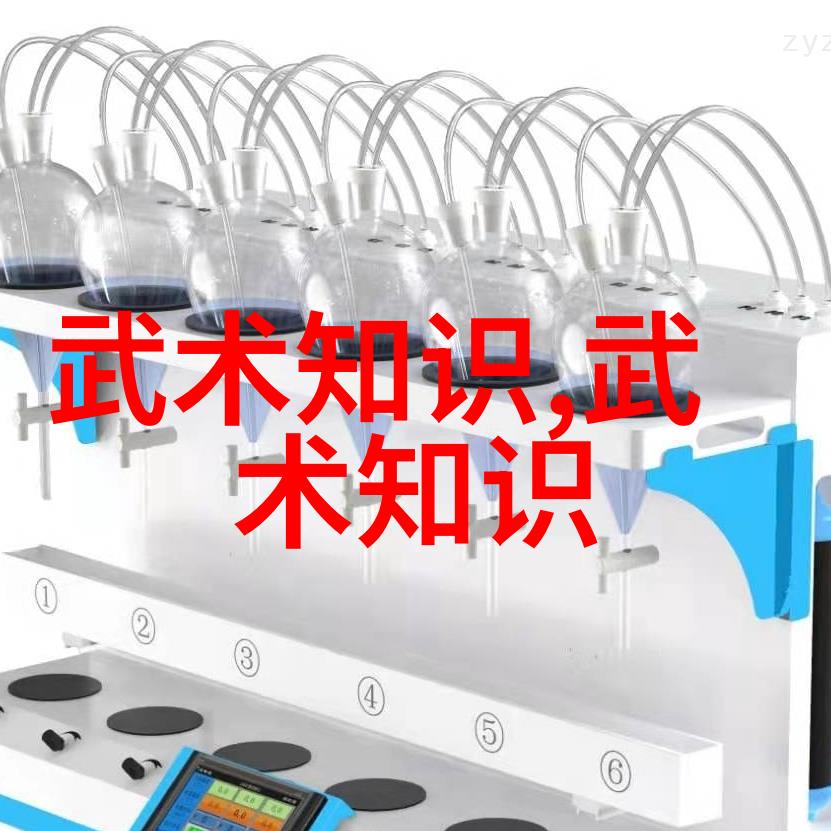中国体系最庞大的武术门派我亲手探访的武林巨擘华山派秘闻录