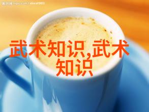 武林十大门派秘笈腾挪架太极拳揭秘江湖绝学