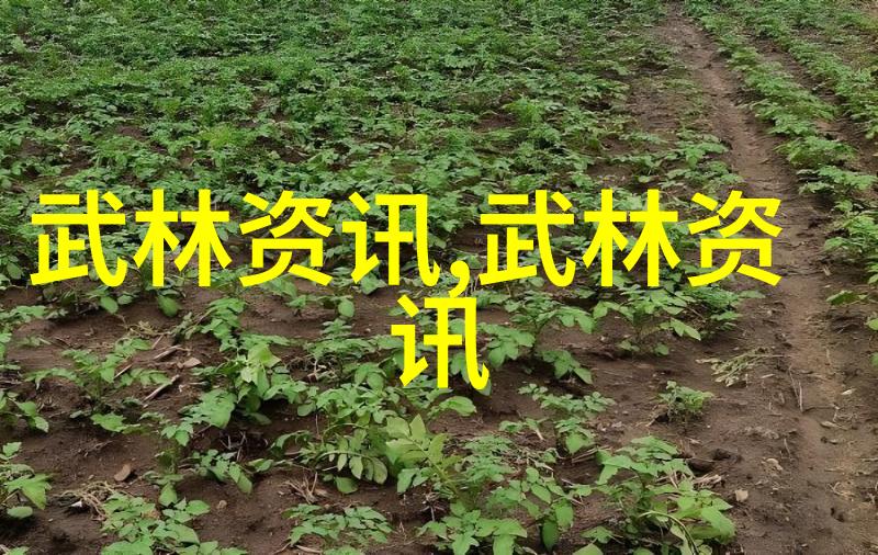 江湖深处的隐秘门派与市井小巷里的武术流派