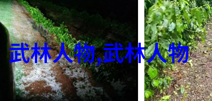 我们熟知的武术活动还有多少未被发现的秘密