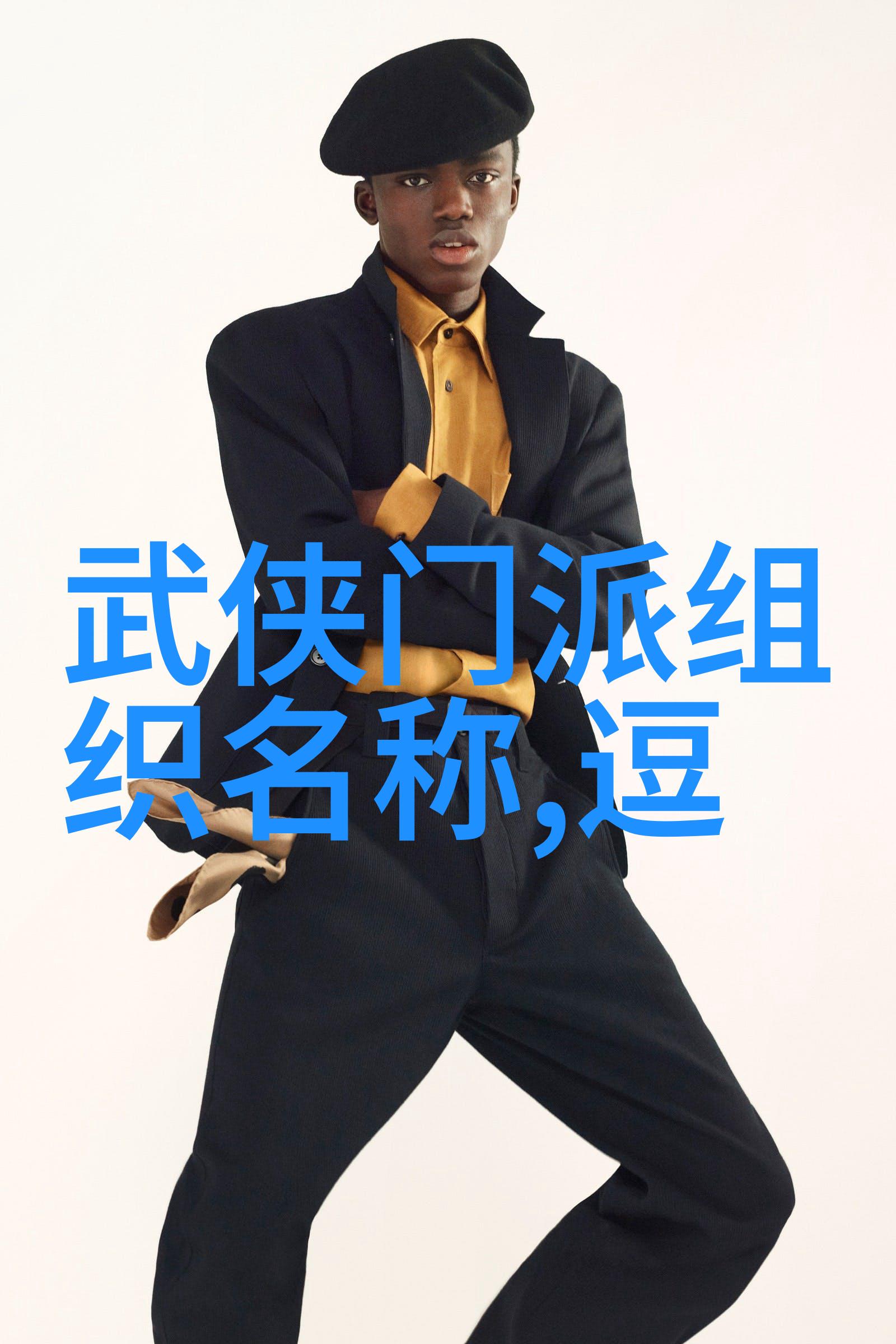 人物浅谈陈氏太极拳中的泛臀技巧及其在太极24式分解式中的应用
