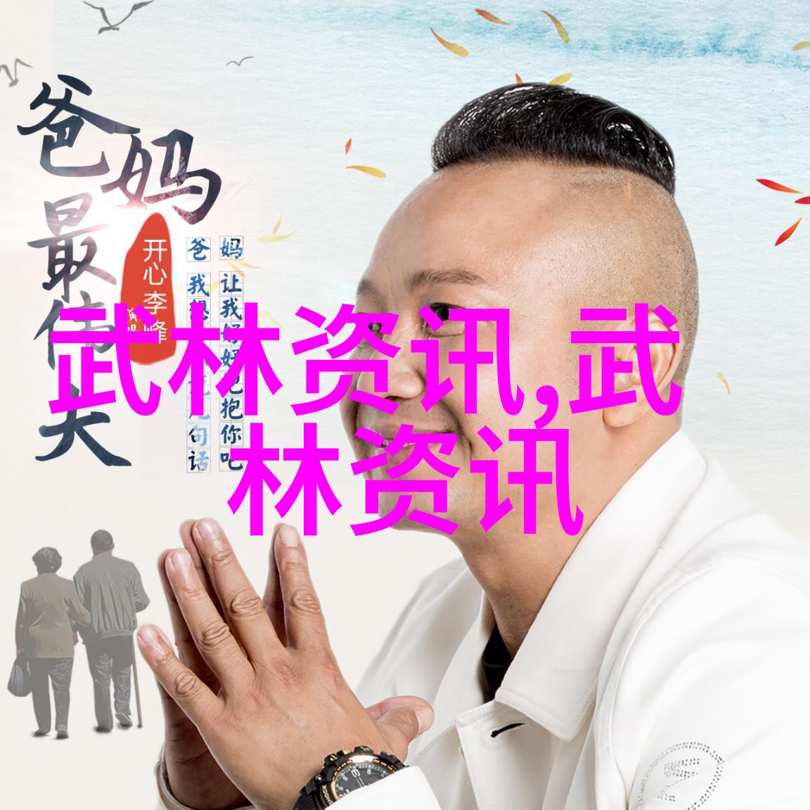 探究世界拳法史上最具毁灭力之风格与实践一项跨文化比较研究