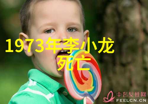 数据驱动轻功飞翔韩兴民的练习秘诀与张光燄的实战经验