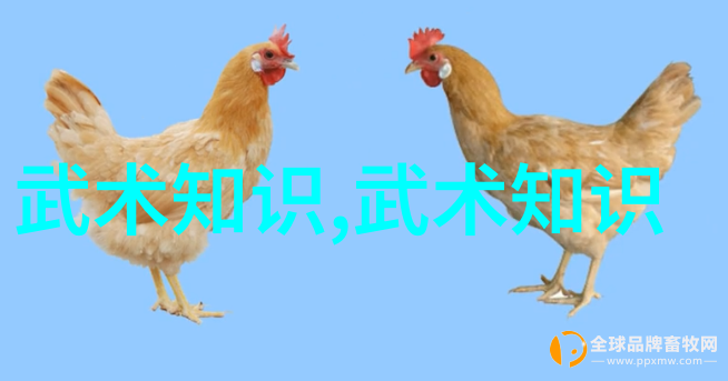 温情橄榄球中新联手加速国家队征服新西兰赛场